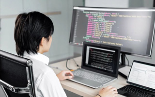 瑞安 api php源码,下载的php源码怎么运行呢？